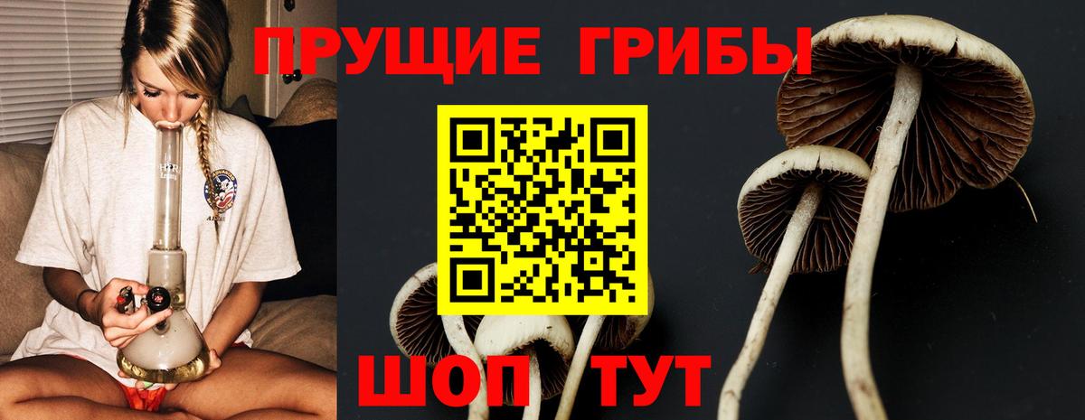 Псилоцибиновые грибы ЛСД  Псилоцибиновые грибы мицелий  Вход с VPN  Гай 